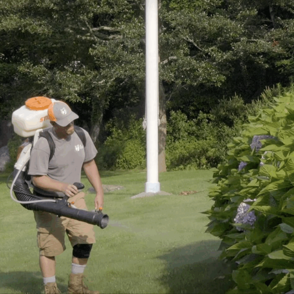 Derek Lodi spraying all-natural deer control