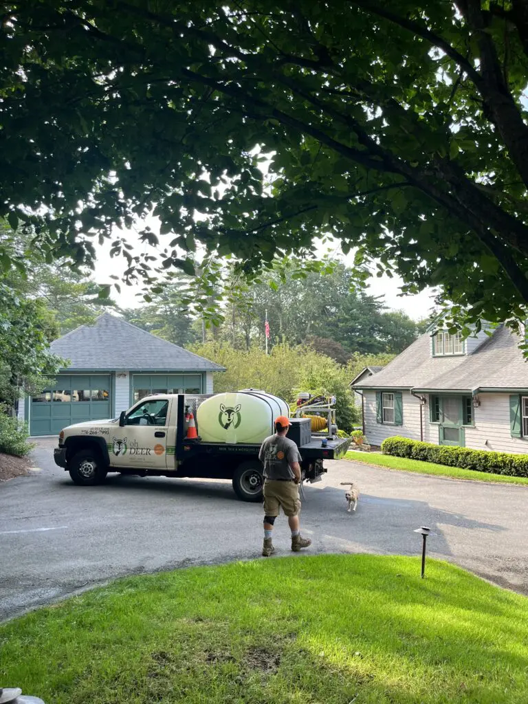 Derek Lodi and customers dog