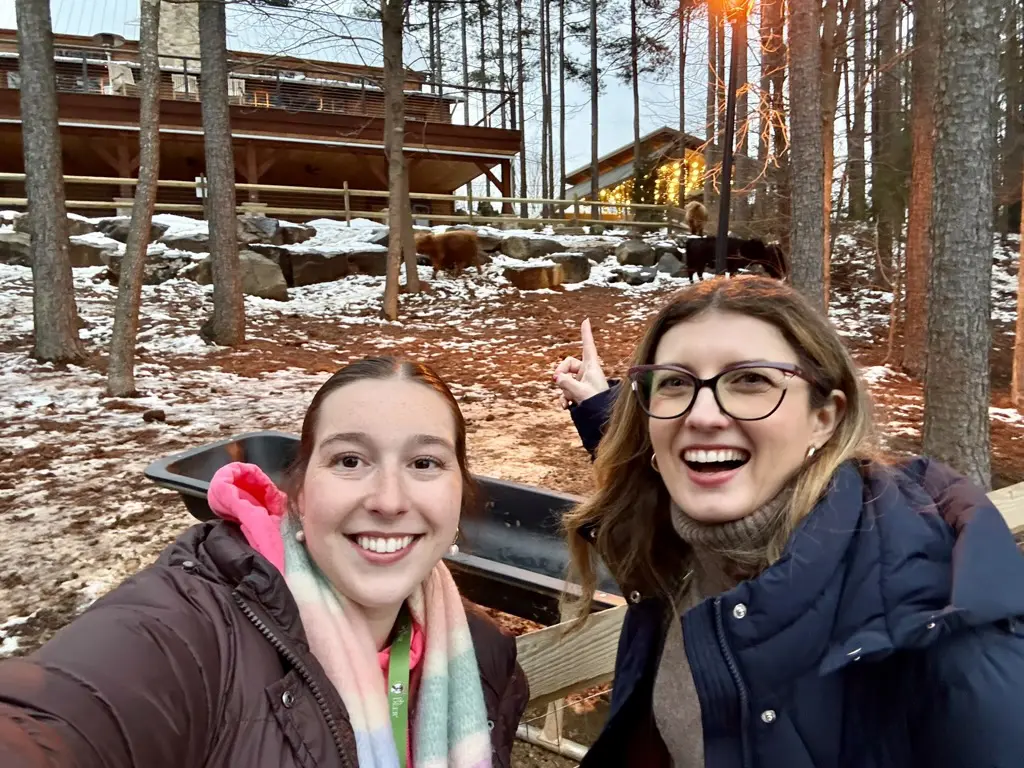 highland cows at whitewater center