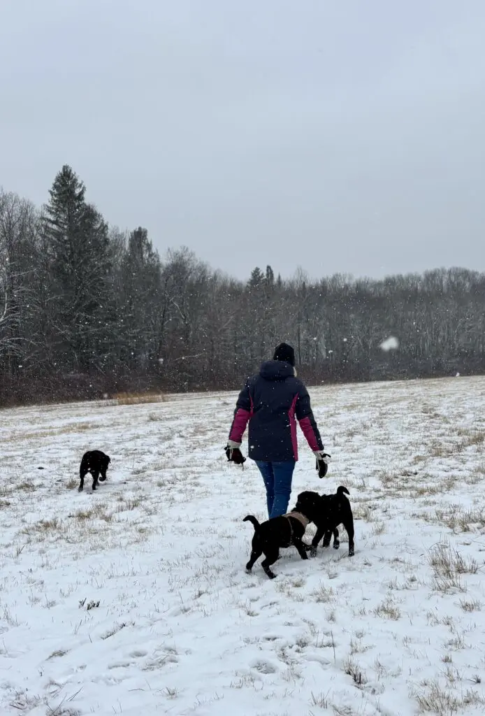 Colleen Upham in snow with dogs 