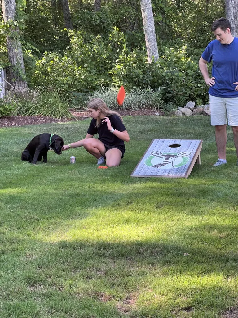 ohDEER corn hole chocolate lab summer outdoors 