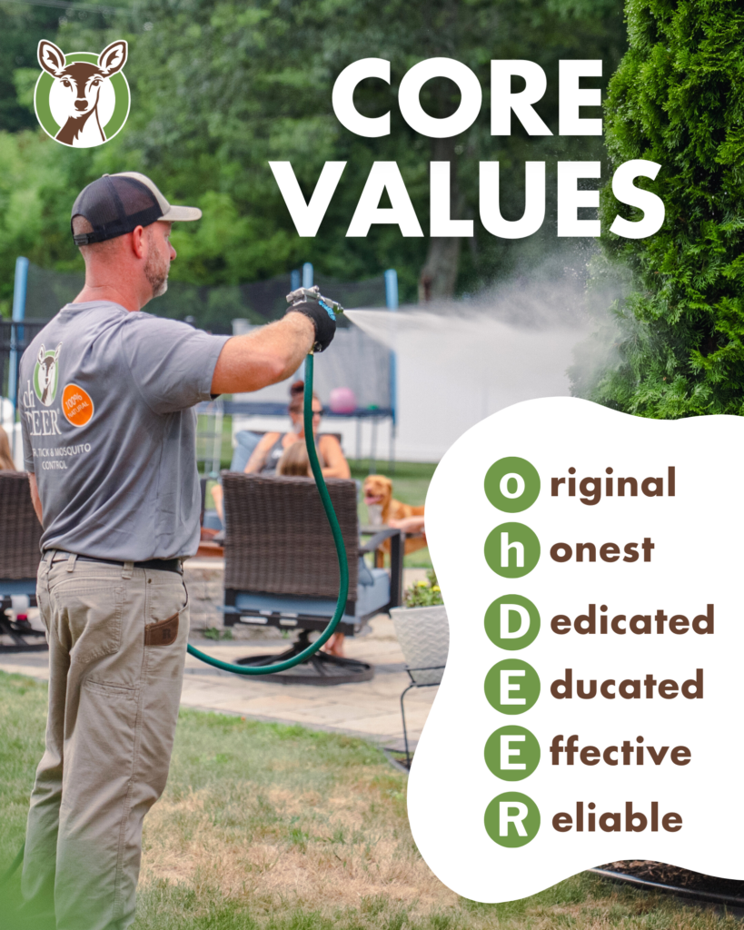 ohDEER core values 