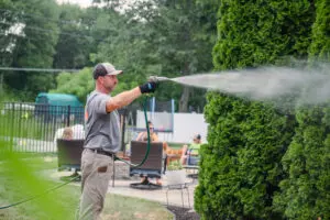 all natural pest control