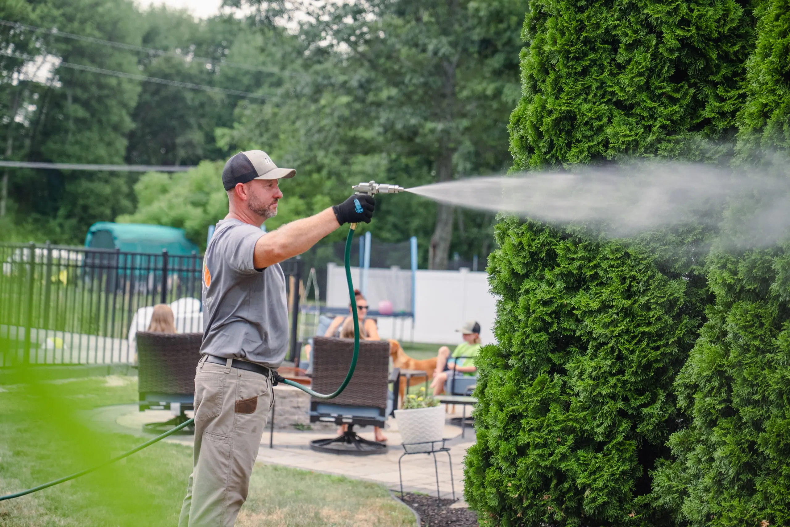 all natural pest control