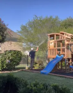all natural pest control virginia