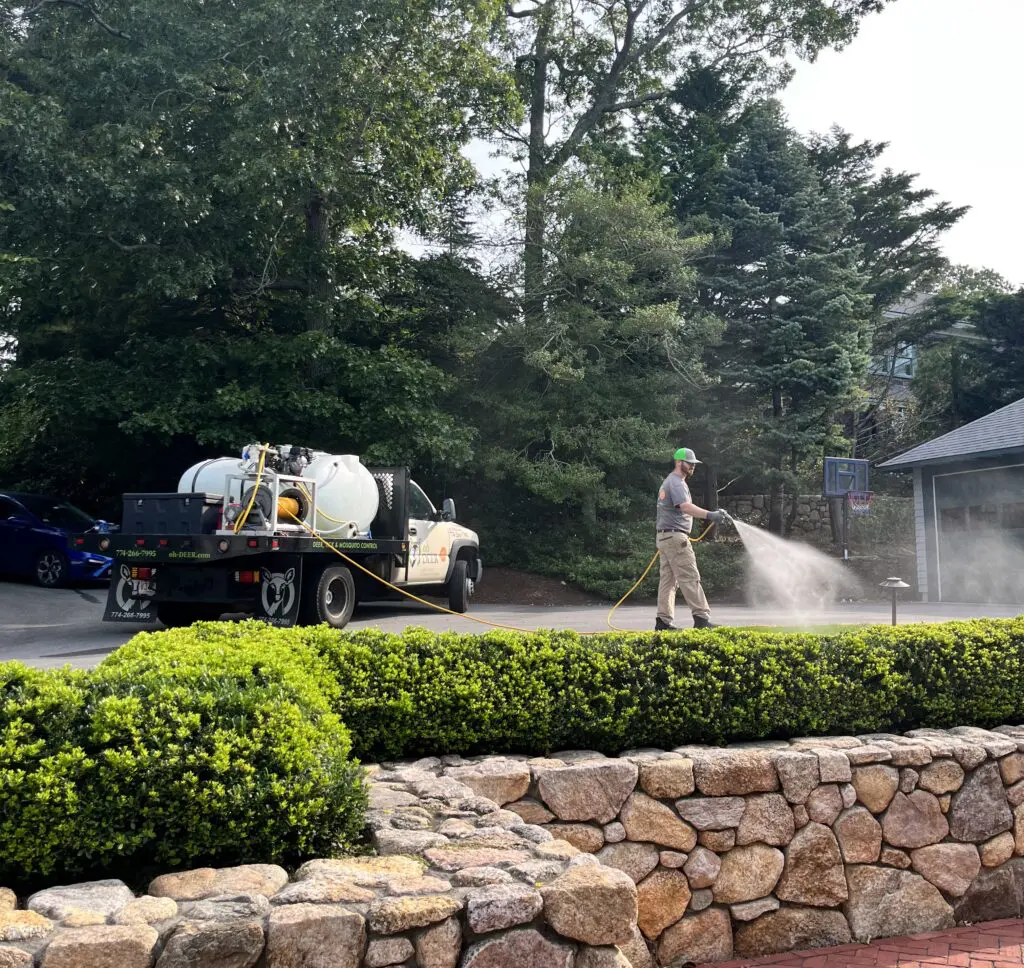 ohDEER technician spraying a customers bushes