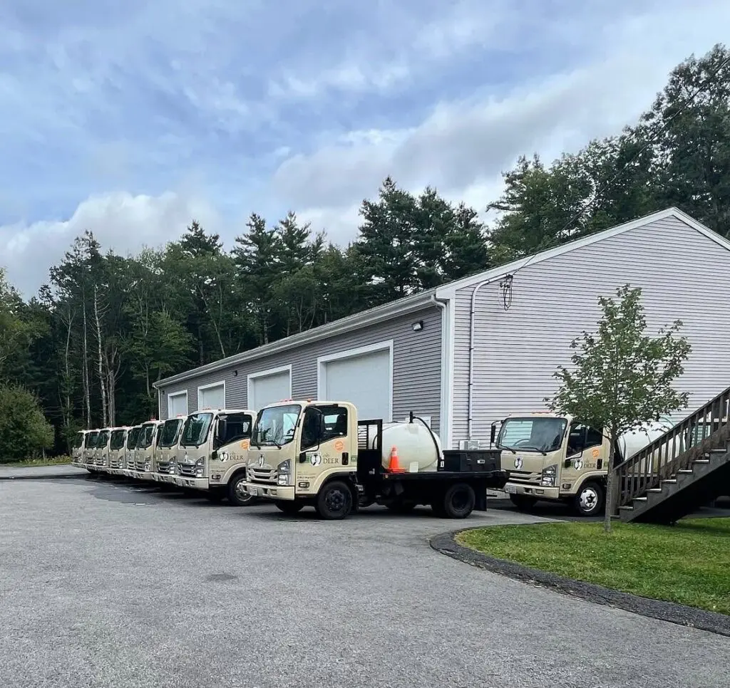 ohDEER trucks outside South Shore shop 
